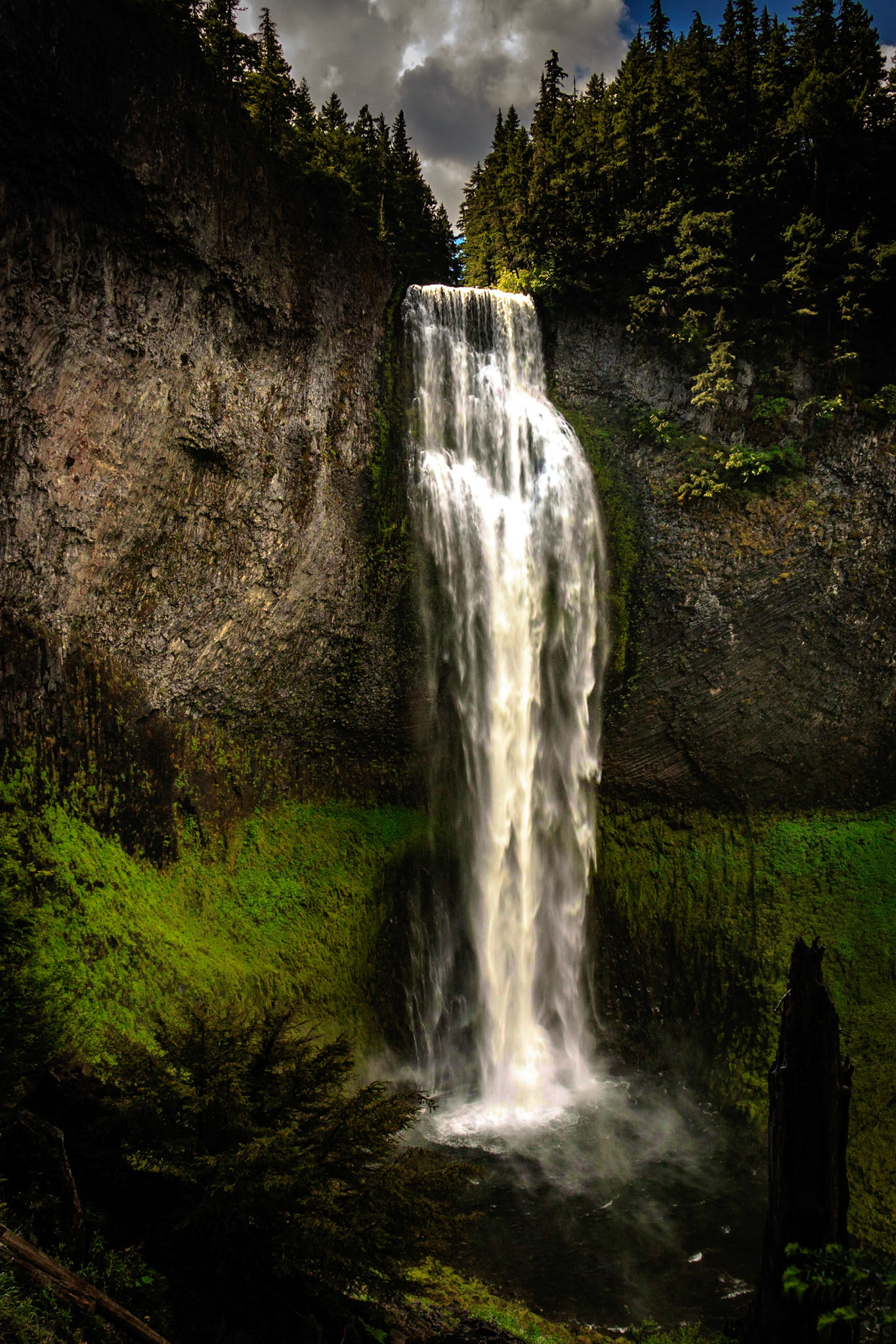 Oregon's 2nd tallest waterfall, Salt Creek Falls plunges 286 feet over basalt cliffs into the  basin below.