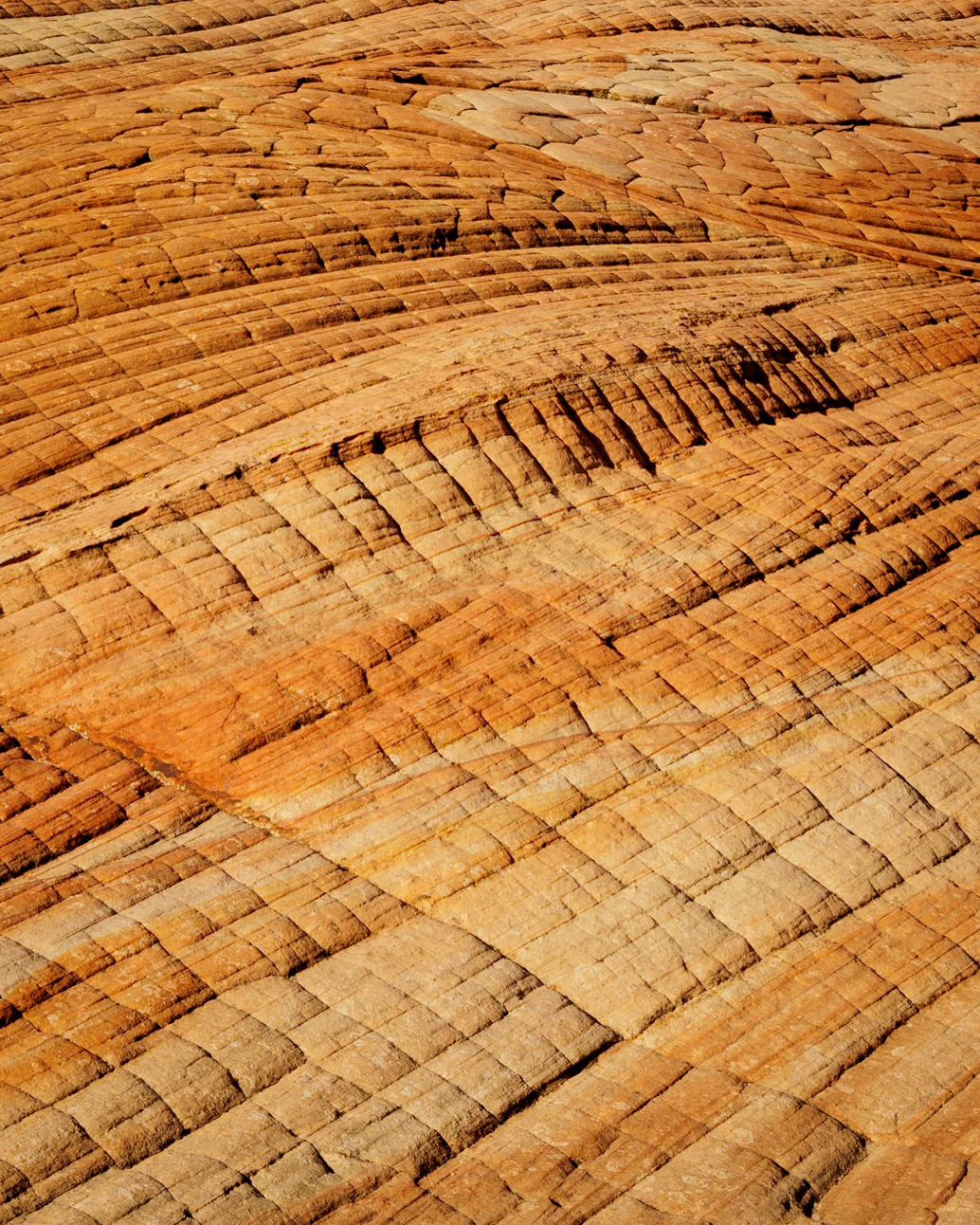 Near Leeds, UT, the Candy Cliffs are a fascinating study of natural cobblestones.