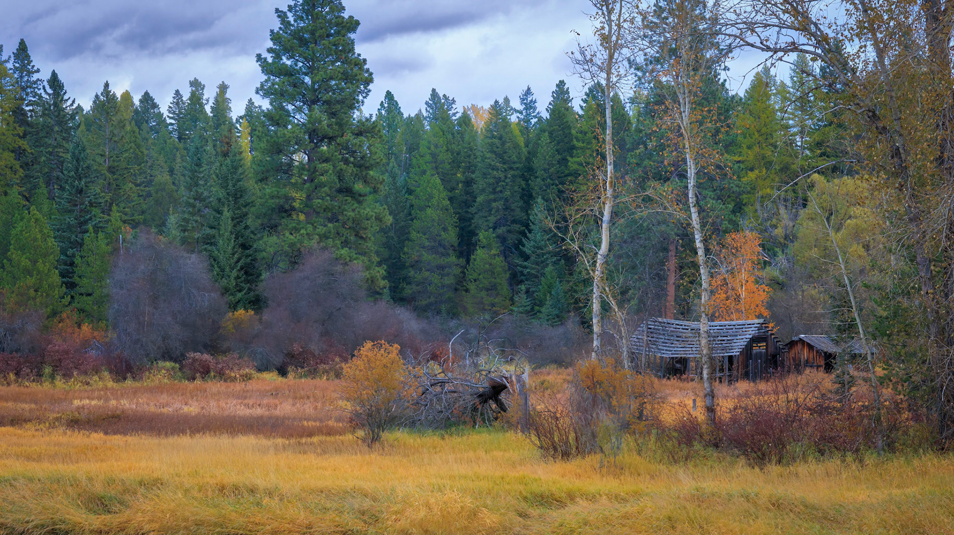 Some abandoned out buildings languish in a medow in late autumn near Whitefish Montana
