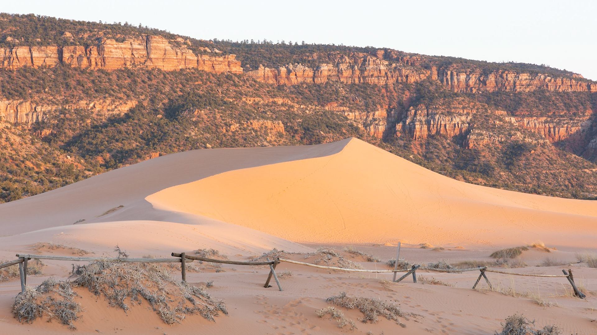 If you want to do some sand boarding, Coral Pink Sand Dunes State Park is the destination for you.