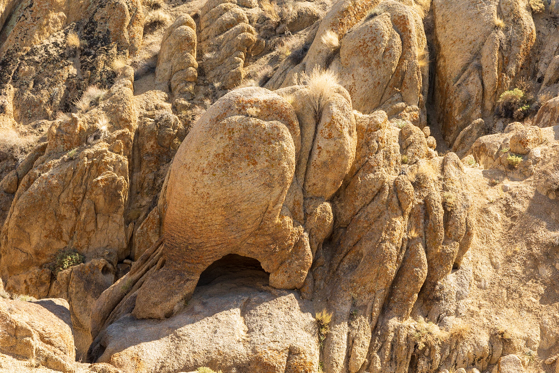 Elephant Rock in the Alabama Hills near Lone Pine, CA