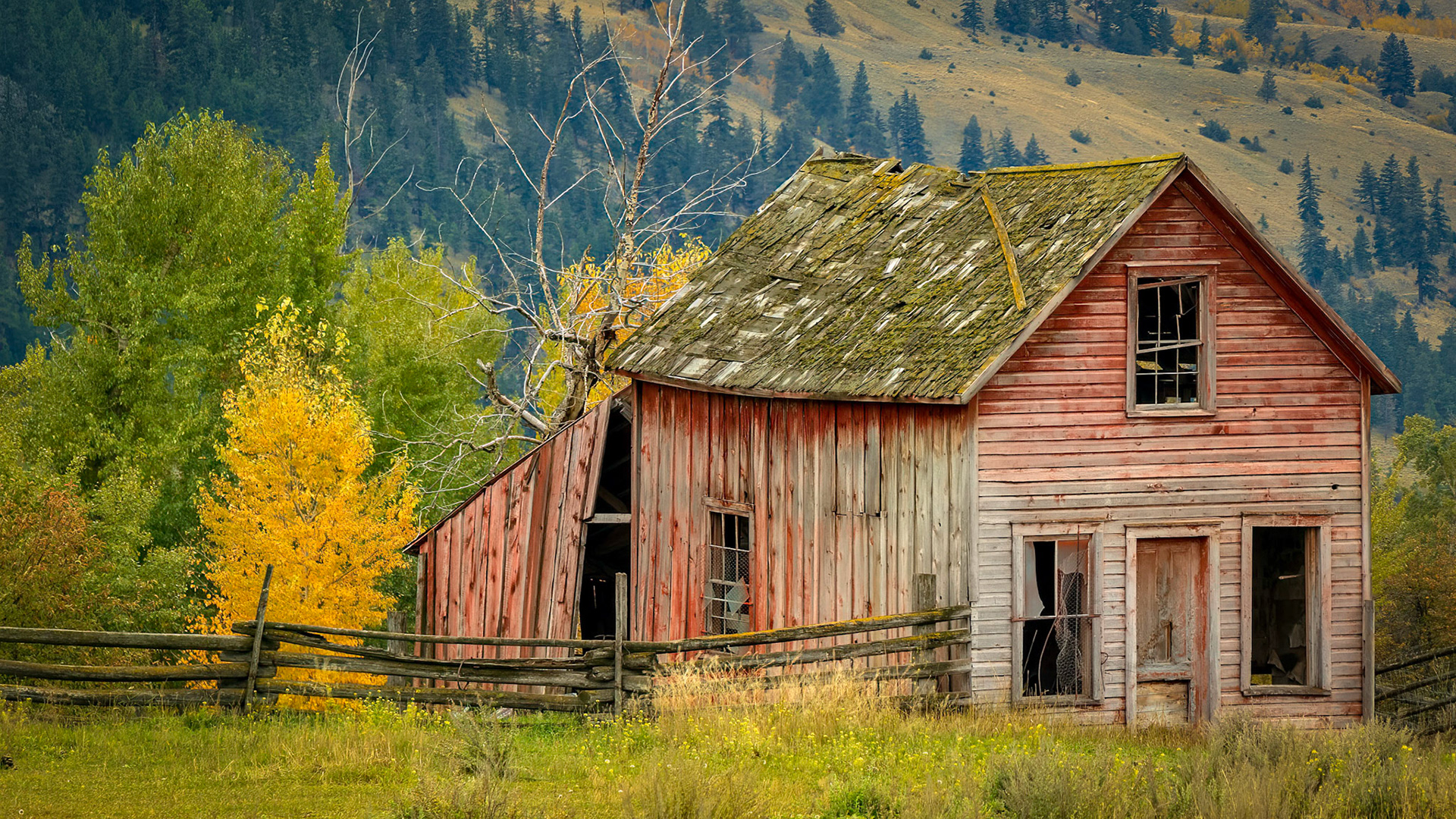 An outbuilding at the Nicola Valley Ranch. It probably has some stories to tell.
