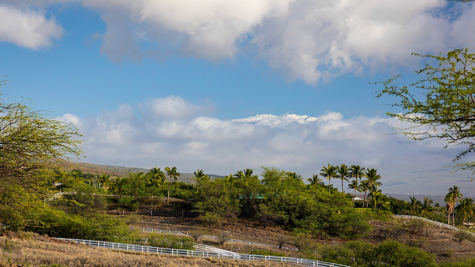 Looking up to the top of Mona Kea (4,207.3 meters, 13803 feet) you can clearly see the observatories. Ski season is open right now, but we came to enjoy the beaches thanks.