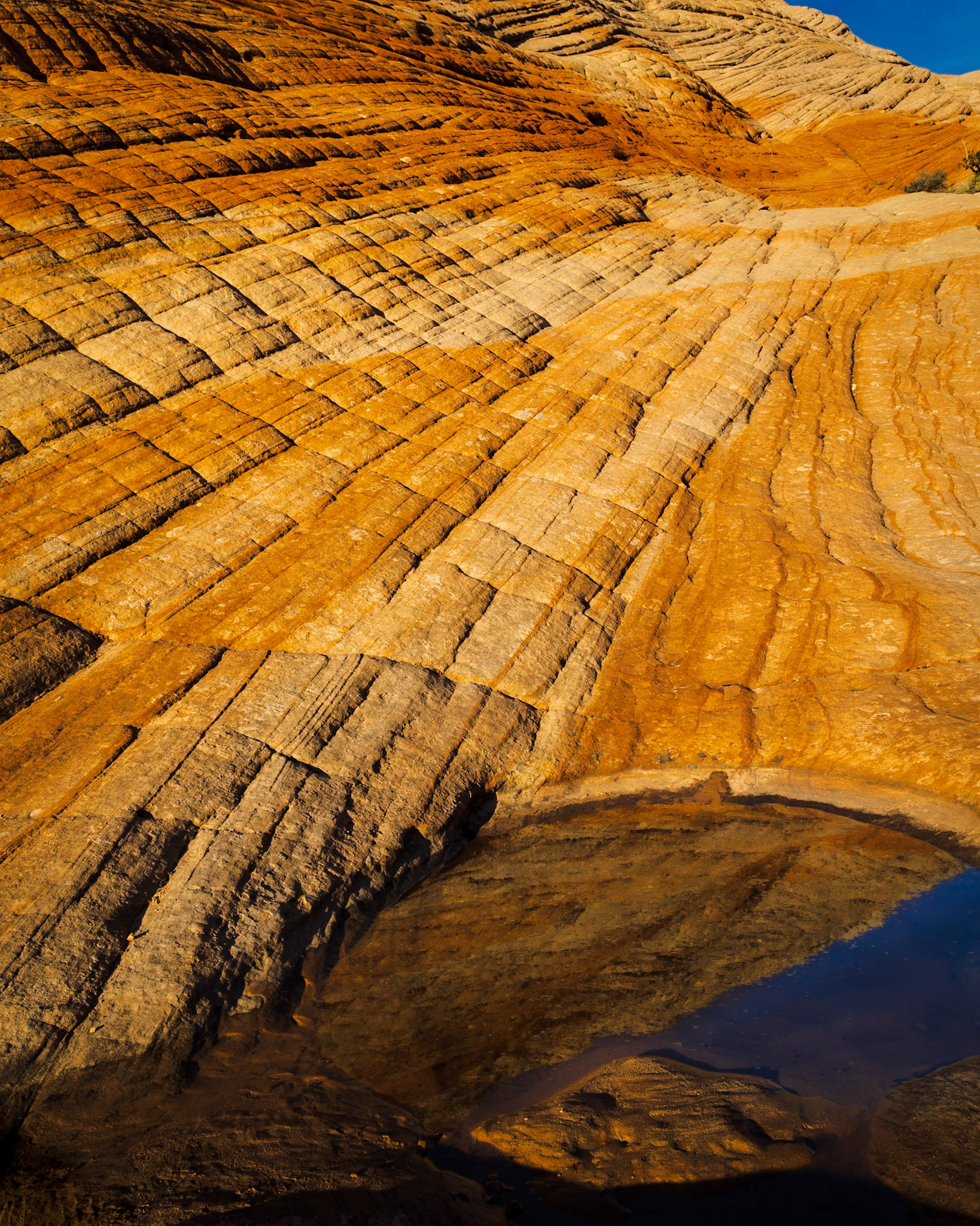 More of the Candy Cliffs near Leads, UT