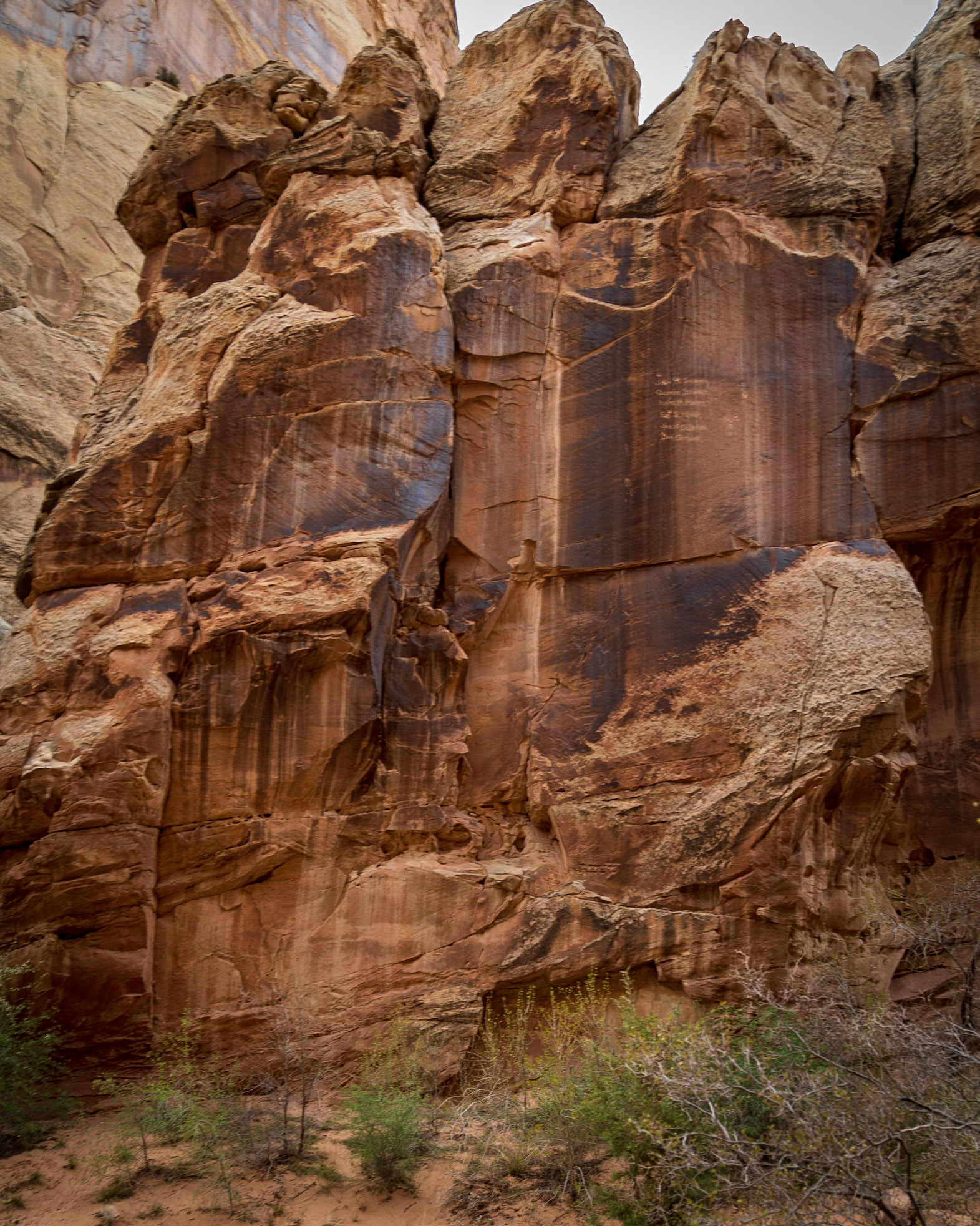 The Capitol Gorge was one of the old wagon trails through the Reef. Along with ancient native petroglyphs, you can also see the more recent signatures of those enterprising men and women who crossed the continent to settle in Utah. (Look in the upper right half of the picture)Unfortunately, you can also see some graffiti from our modern day. Not cool. Don't do it.
