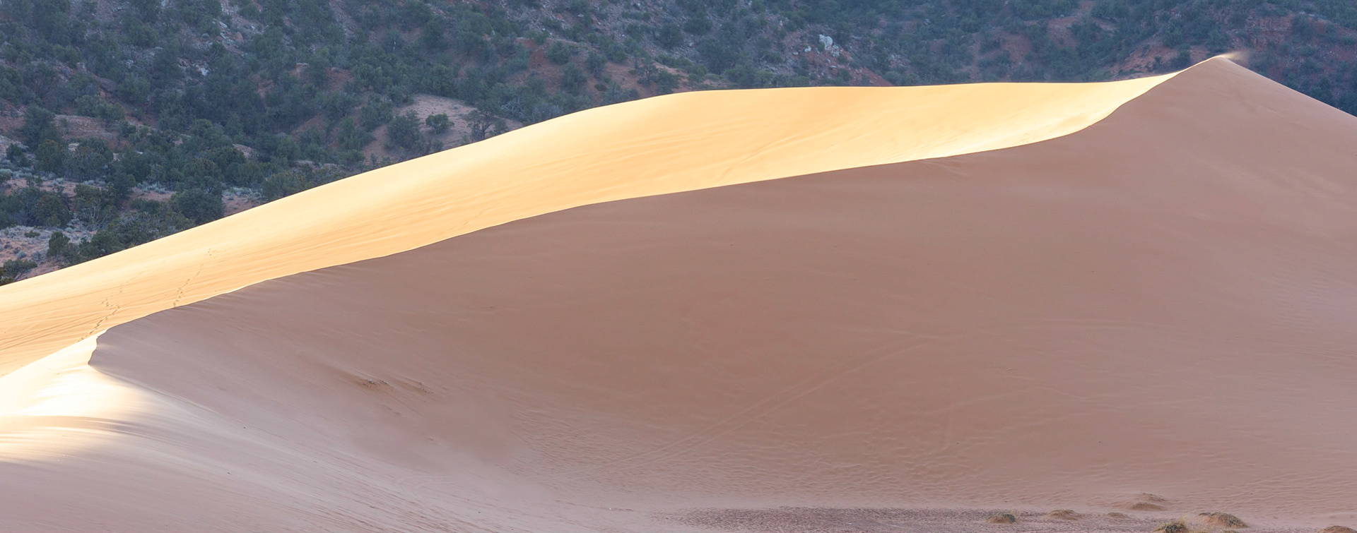A morning shot of the major Dune at Coral Pink Sand Dunes State Park. As the sun comes up it washes across the windward side of the dunes.