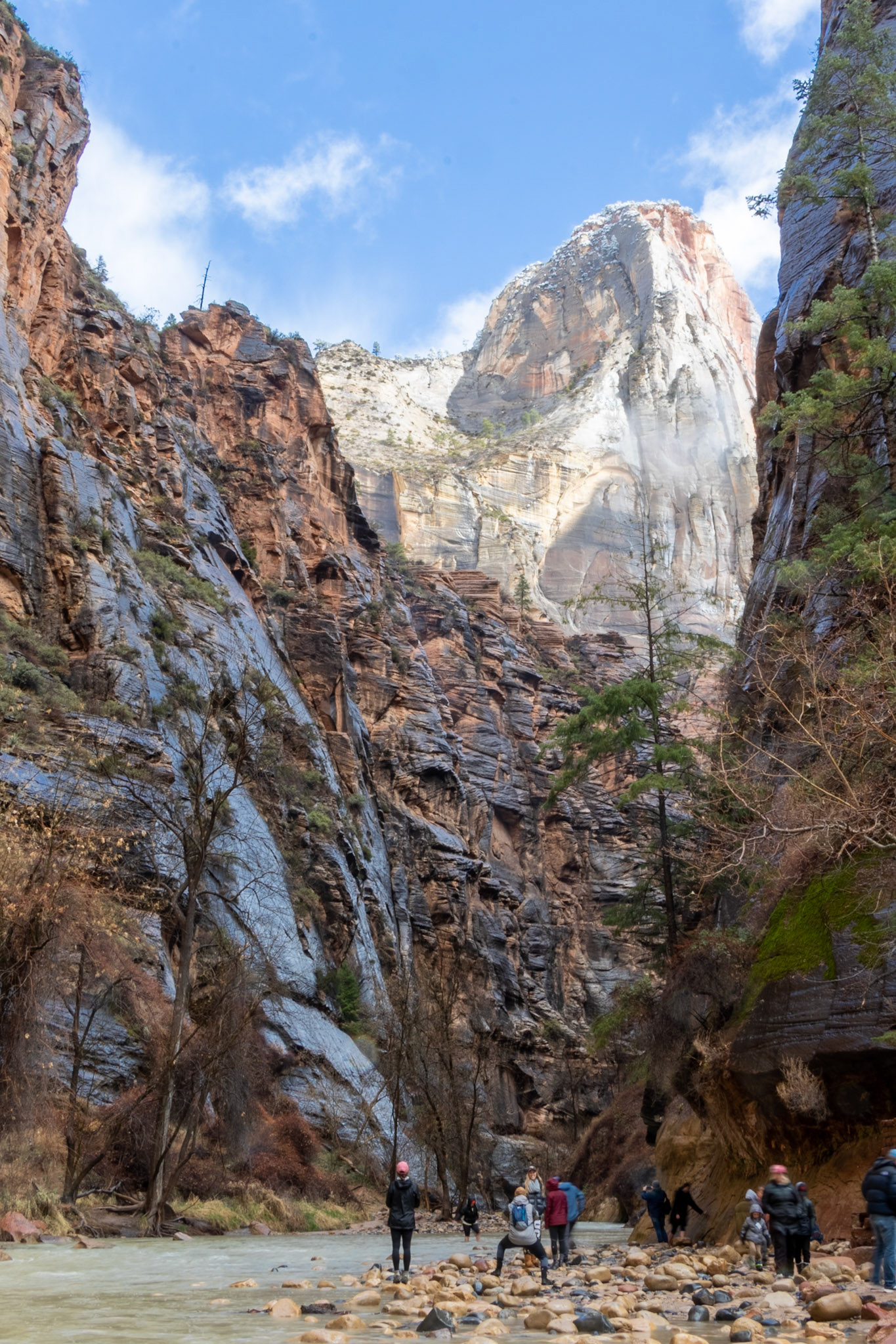 A brisk spring morning at the end of the trail into the Virgin River Canyon.