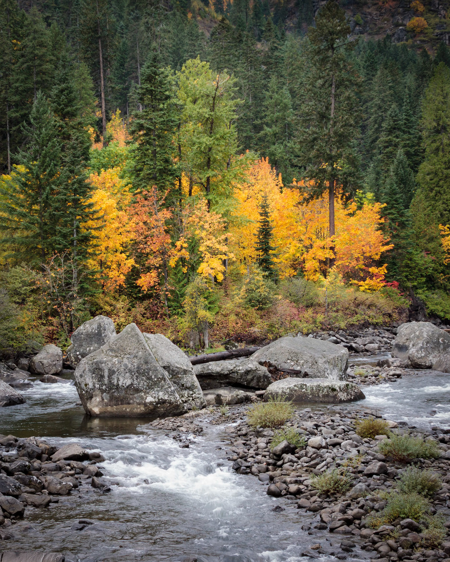 Fall colors can be spectacular along the Wenatchee River