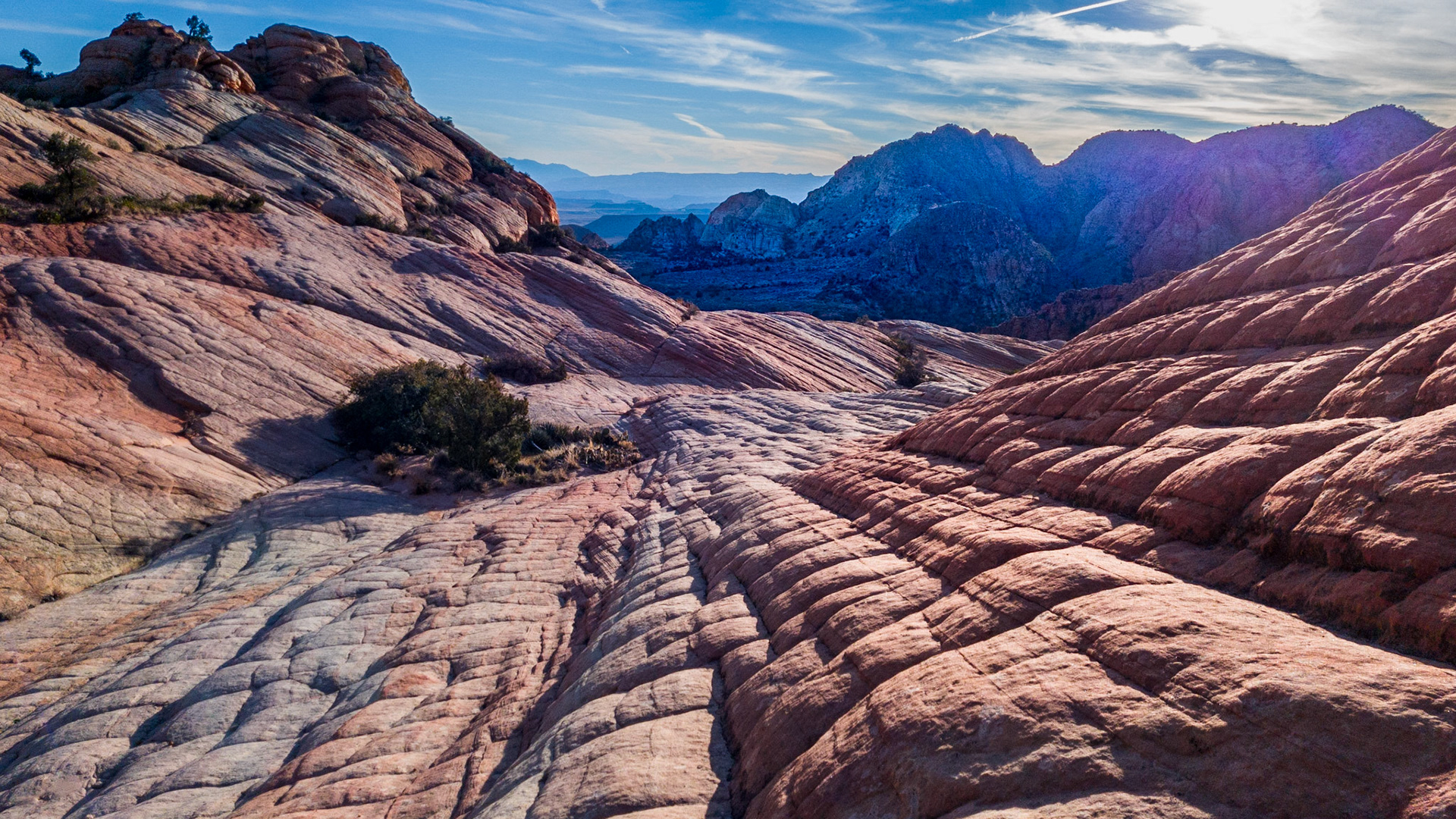 Shot on my Samsung while at Yantz Flats and the Candy Cliffs.