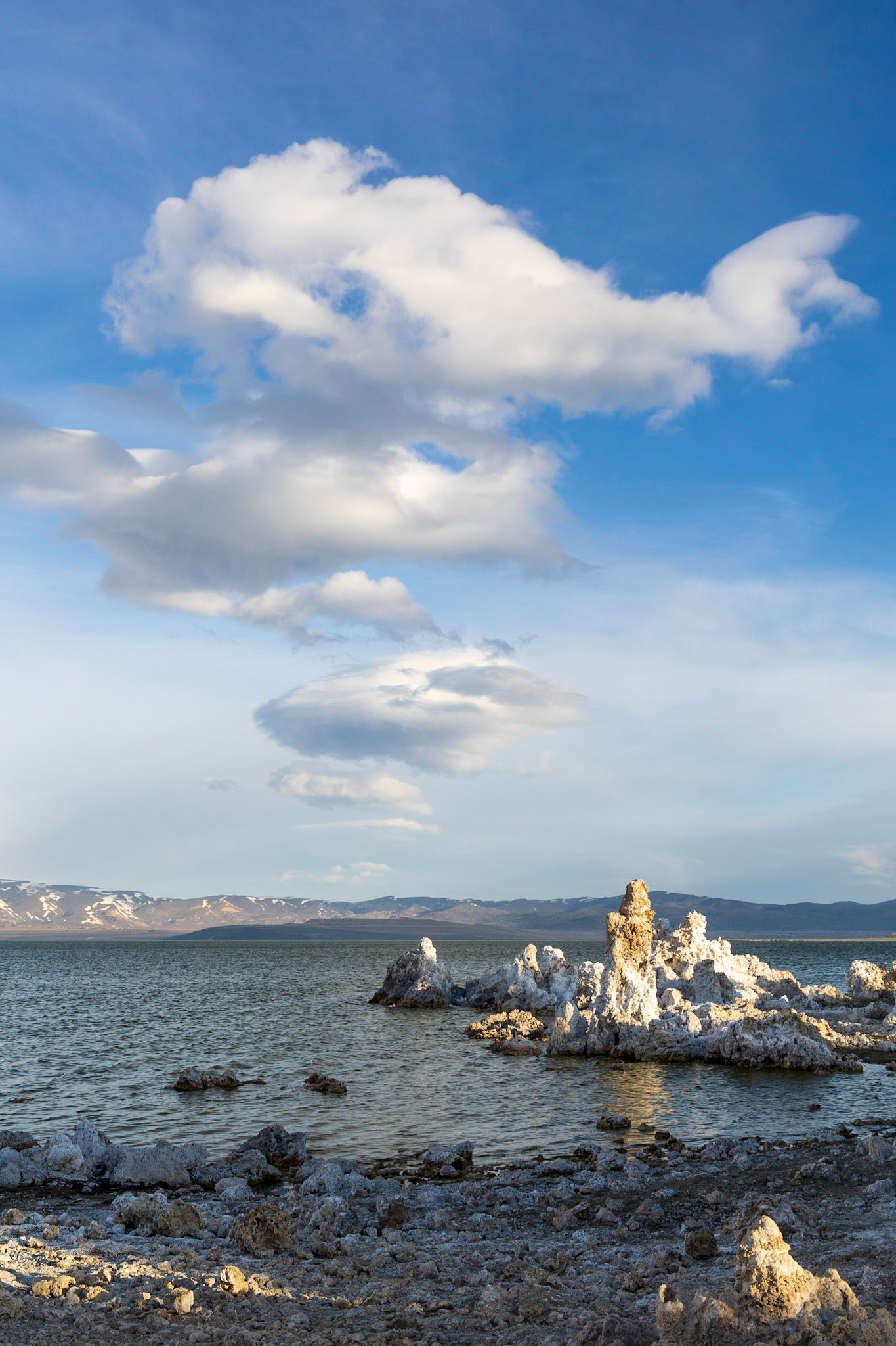 Tufas in Mono Lake near Lee Vining, CA