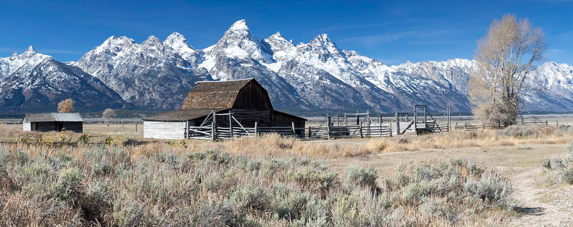 The Mormon Row is a number of homes and barns that were built by Mormon settlers to this valley way back when...This is the iconic shot of a barn in front of the mountains.