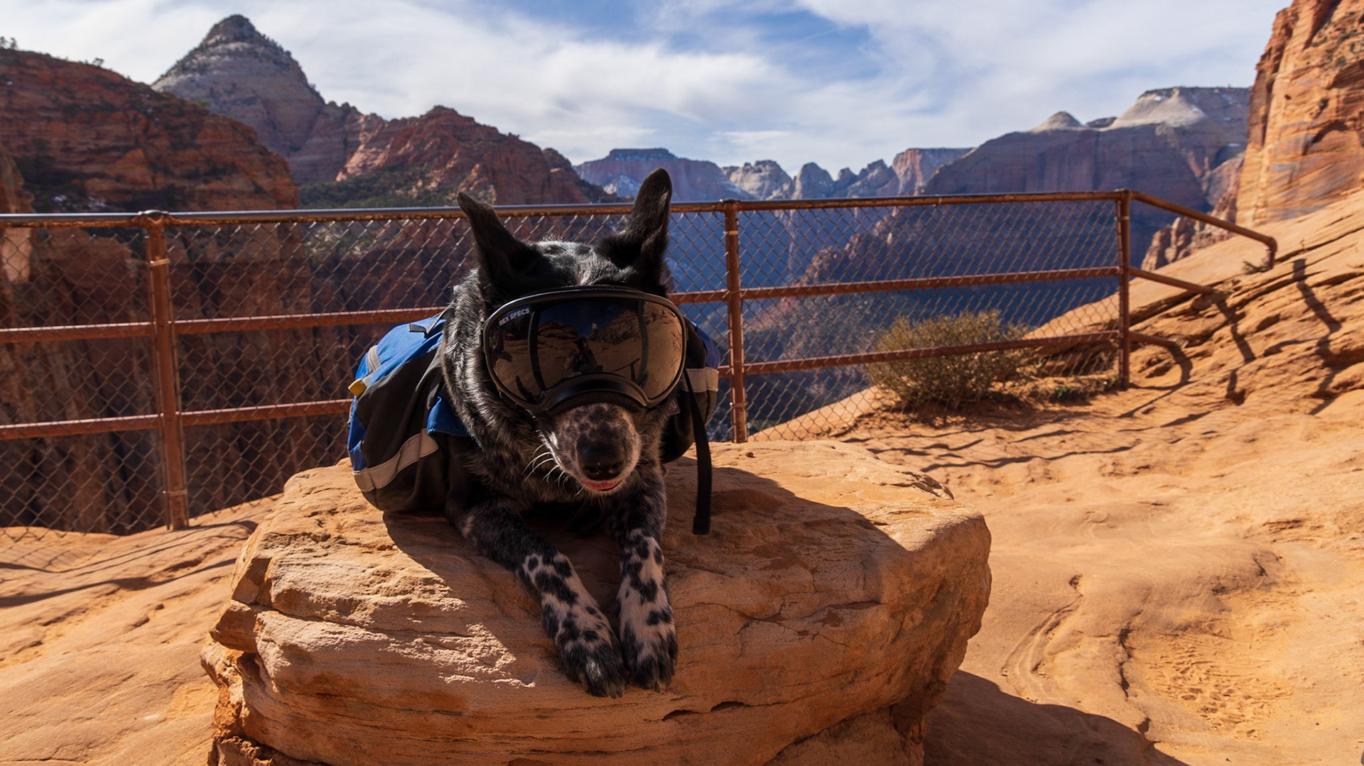 Liddy poses on a rock near the lip above the Grand Arch at Zion National Park.