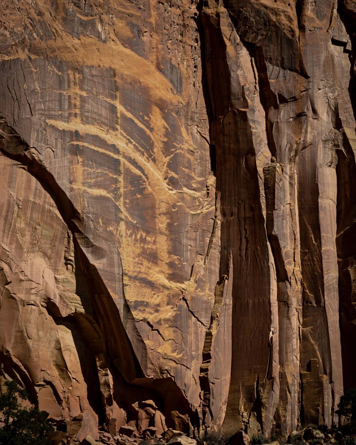 Is that a face in the cliff? The amazing colors in the sandstone cliffs create so many patterns. This is just one section of the cliffs in Long Canyon along the Burr Trail
