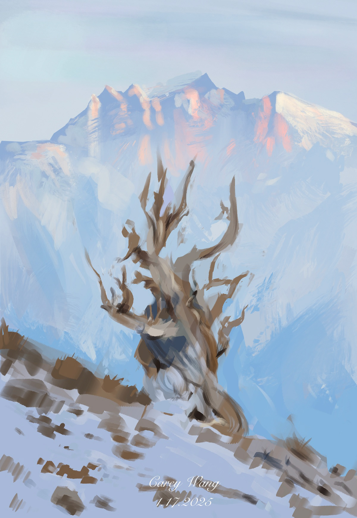 Snow Scene