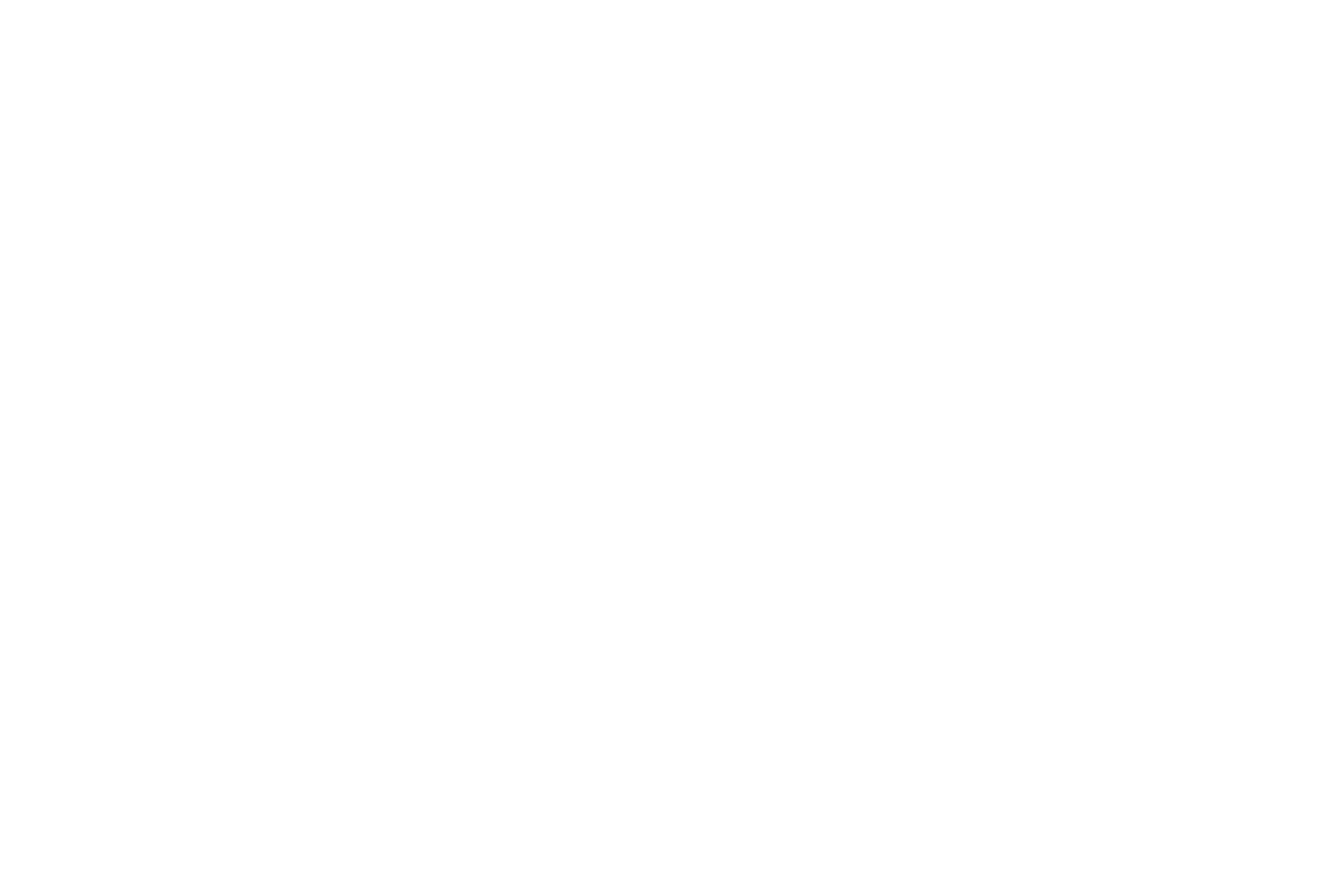 Antonio Javier Plana Priego