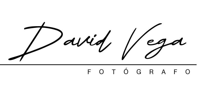 Jose David Vega Mellado