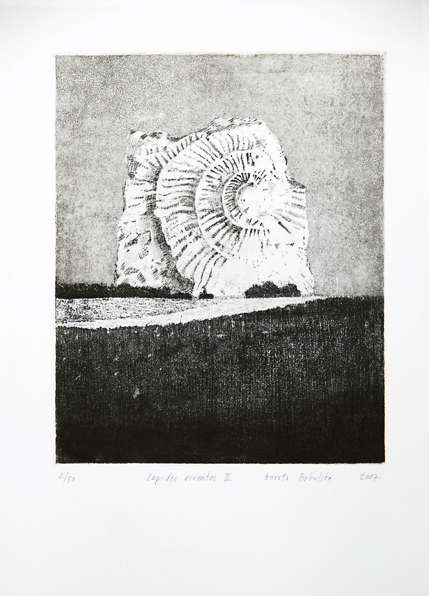 LAPIDES VIVENTES I   |   20×24,5 cm   |   intaglio   |   450 zł