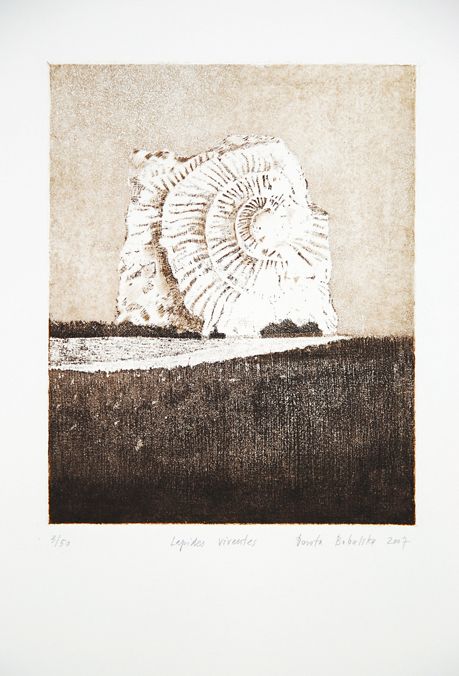 LAPIDES VIVENTES I   |   20×24,5 cm   |   intaglio   |   450 zł