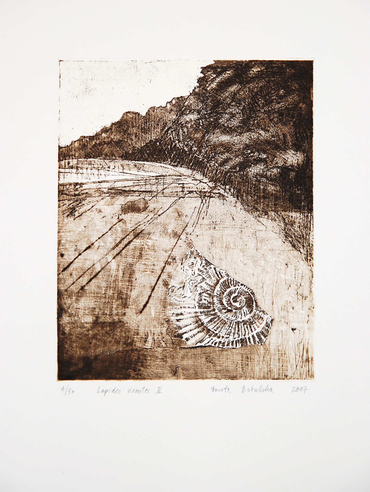 LAPIDES VIVENTES III   |   20×24,5 cm   |   intaglio   |   450 zł