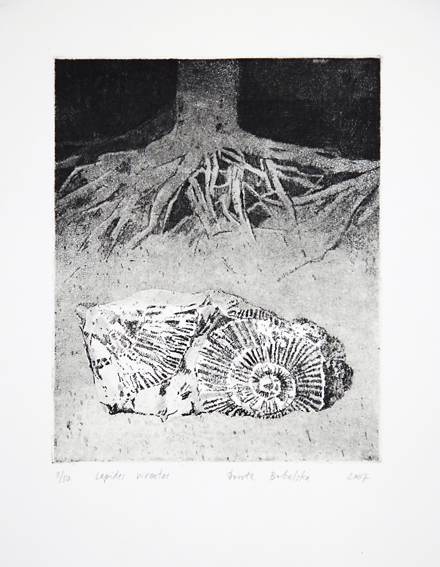 LAPIDES VIVENTES II   |   20×24,5 cm   |   intaglio   |   450 zł