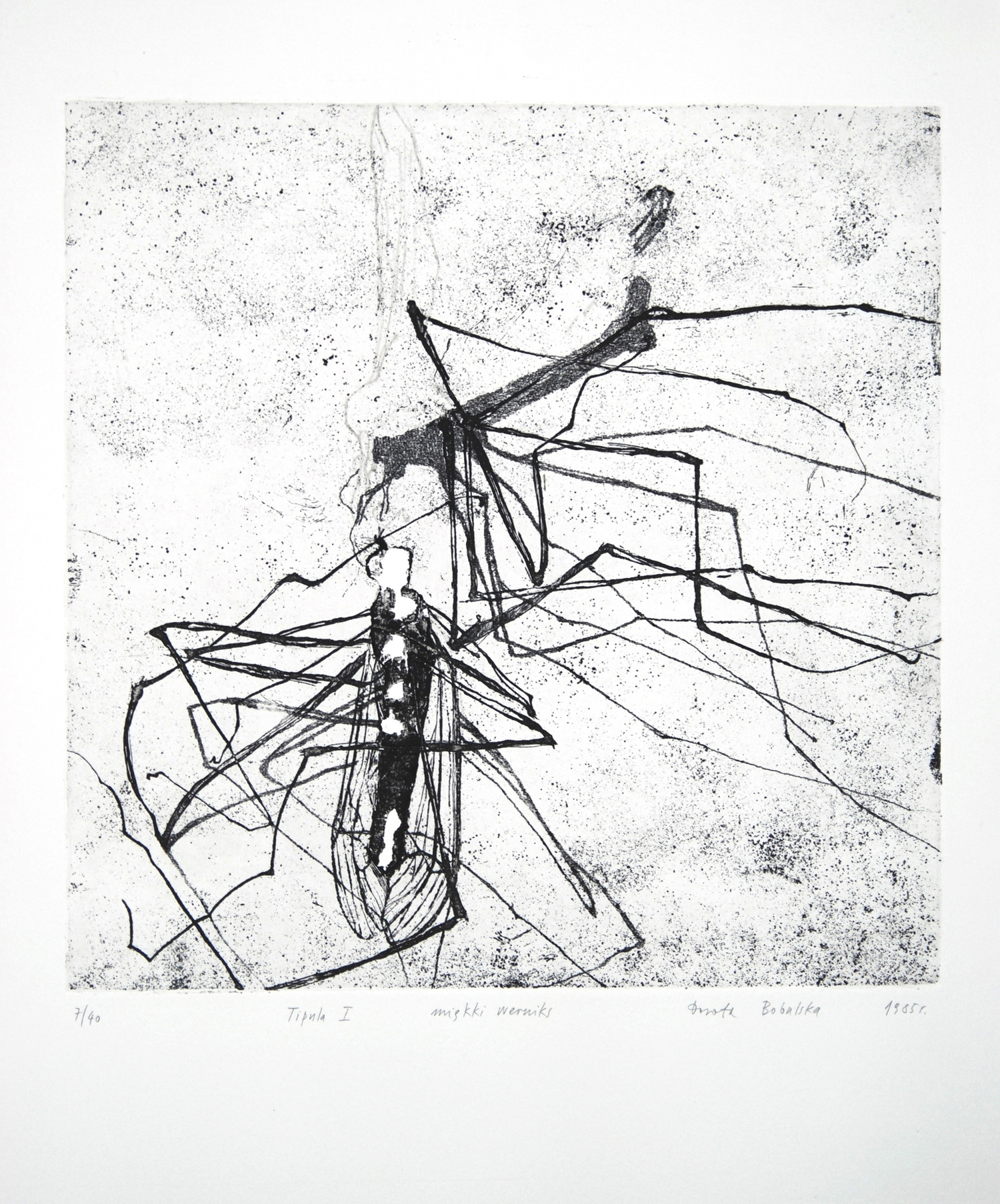TIPULA I   |   33×33 cm   |   miękki werniks z suchą igłą   |   550 zł