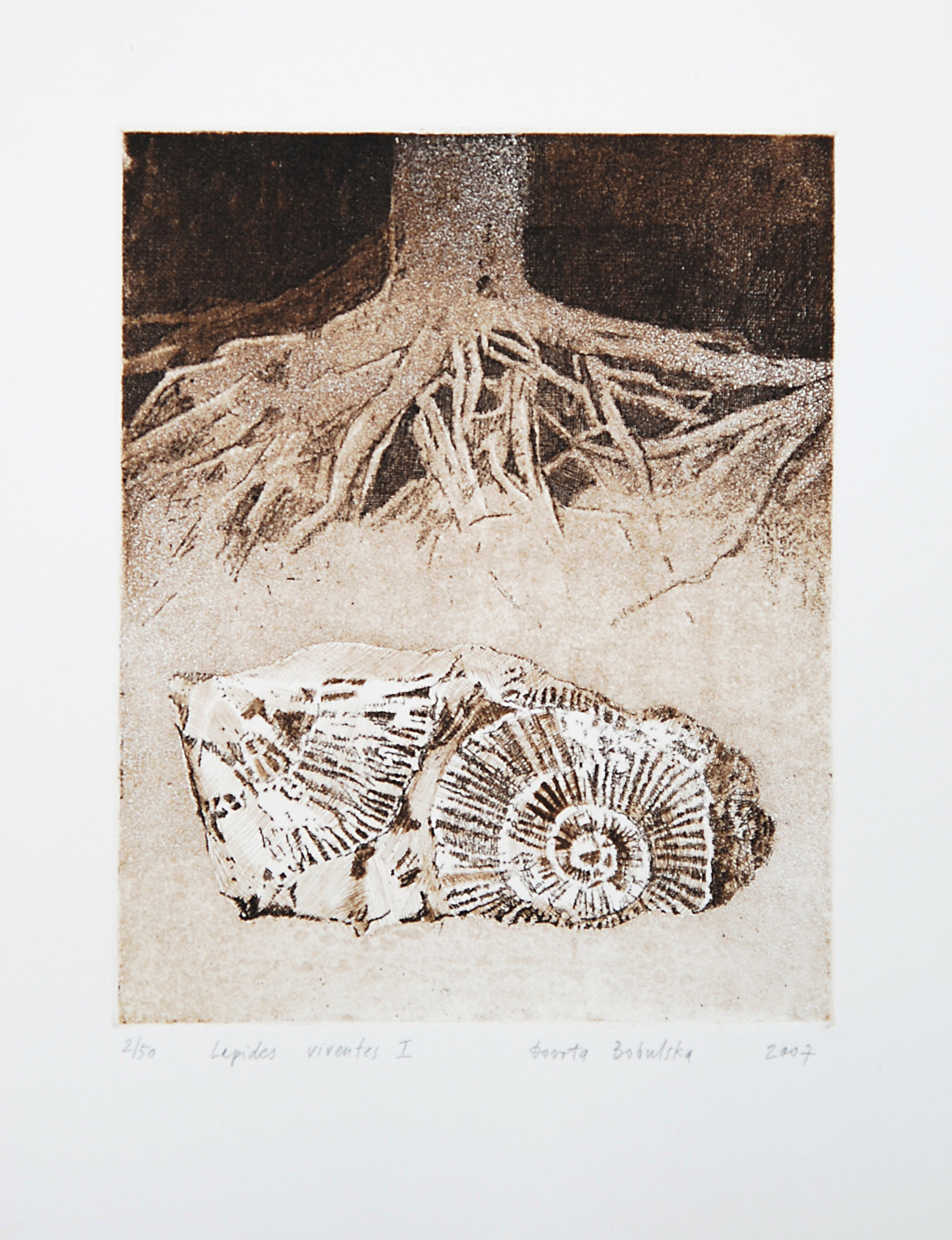 LAPIDES VIVENTES II   |   20×24,5 cm   |   intaglio   |   450 zł