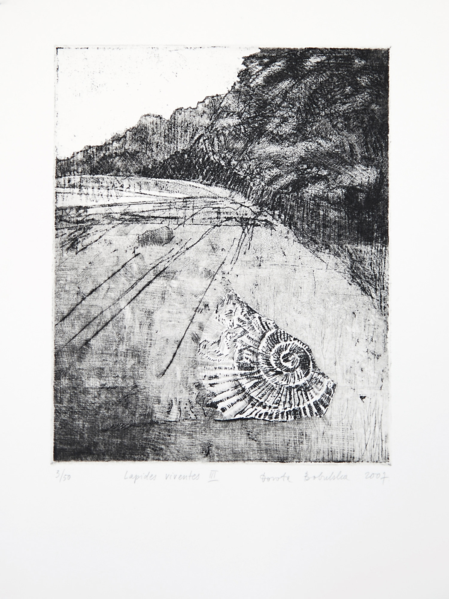 LAPIDES VIVENTES III   |   20×24,5 cm   |   intaglio   |   450 zł