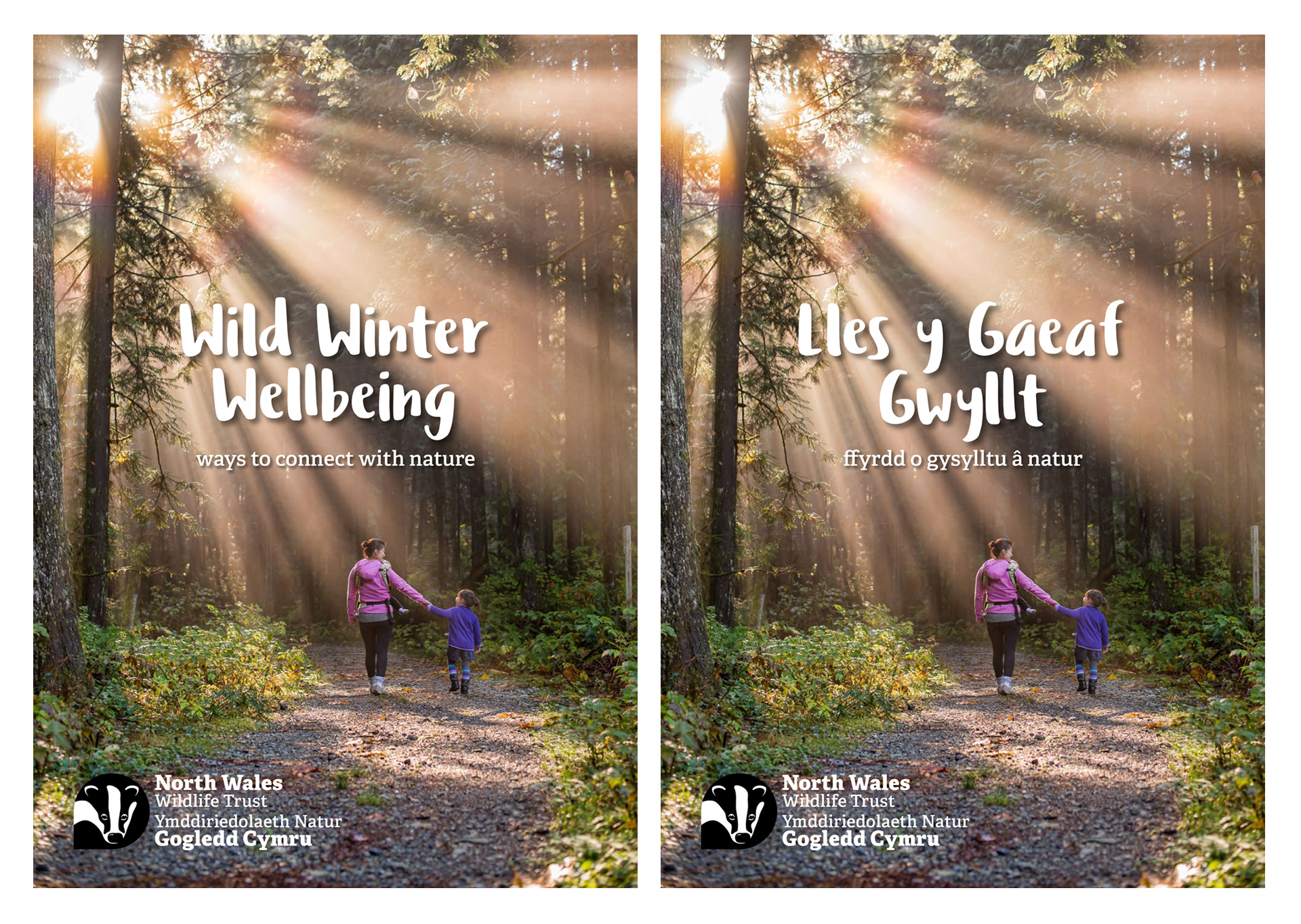 North Wales Wildlife Trust Wild Winter Booklets