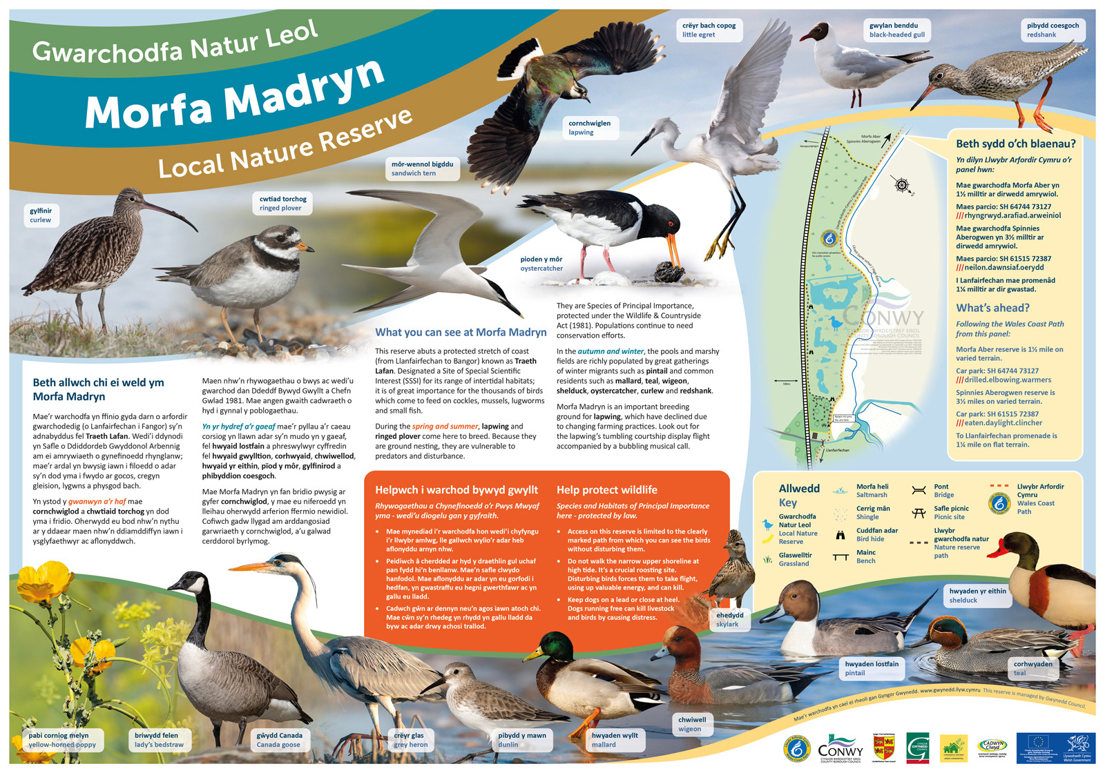 Morfa Madryn