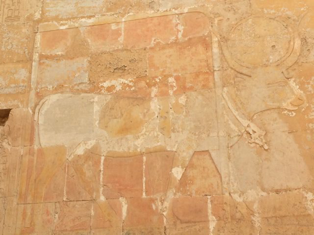 Hwt-hr as cow at Deir el-Bahari, Hatshepsut’s Temple. West Bank, Luxor, Egypt.