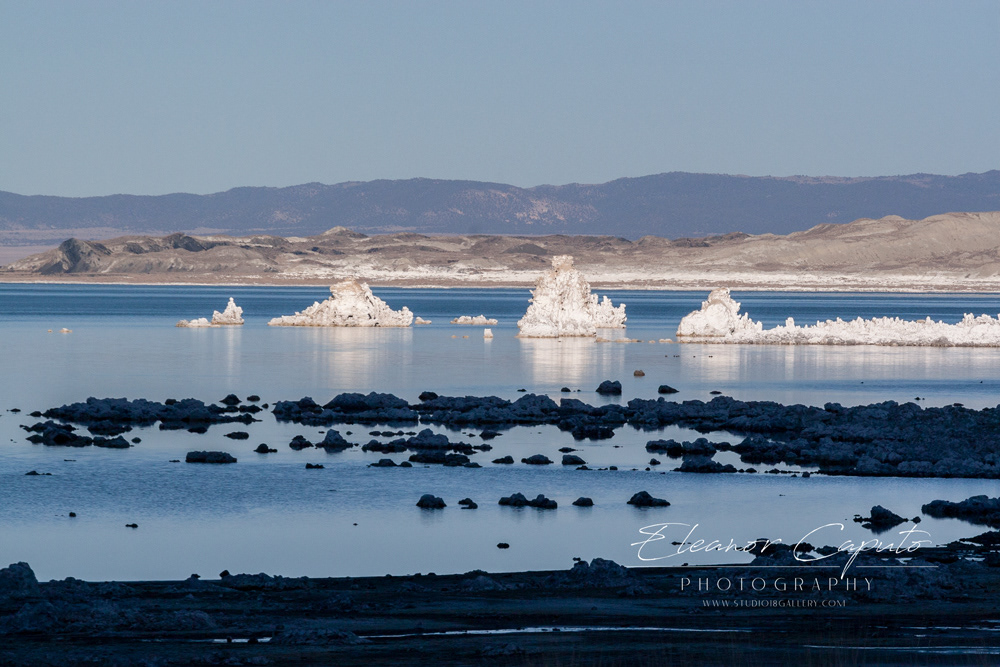 Mono Lake 51