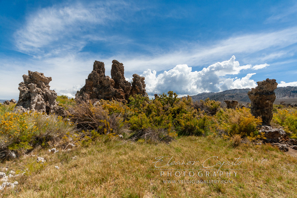 Mono Lake 2012 120