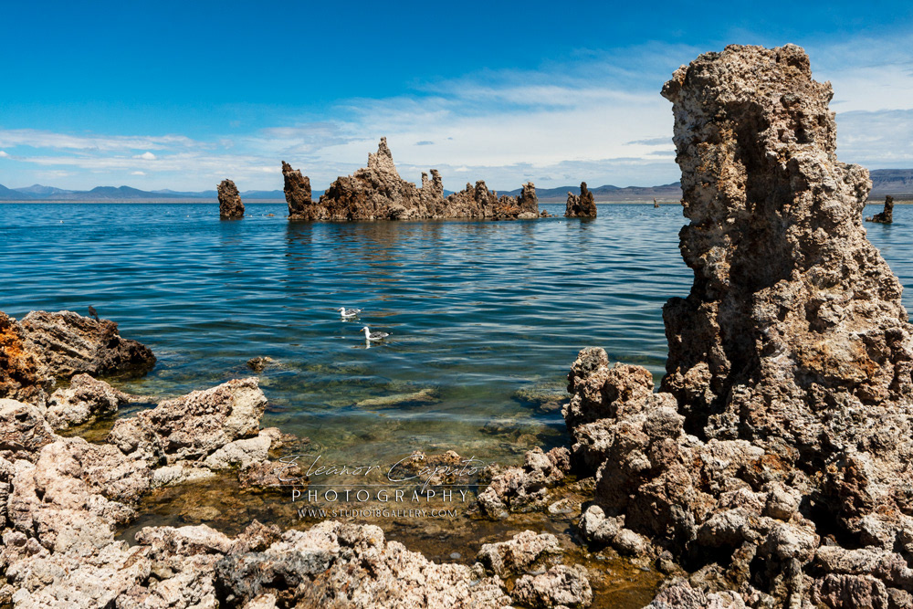 Mono Lake 2012 114