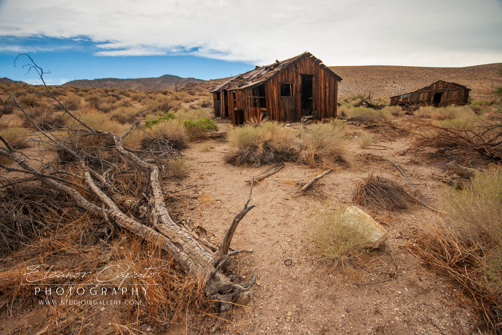 Benton Desert Benton Desert 109