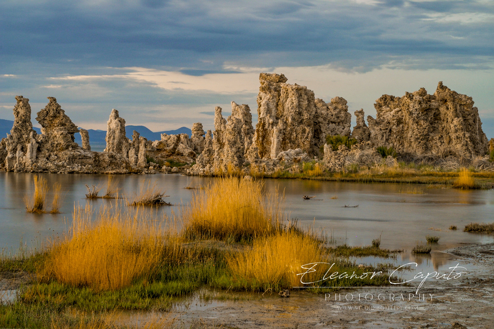 Mono Lake 52