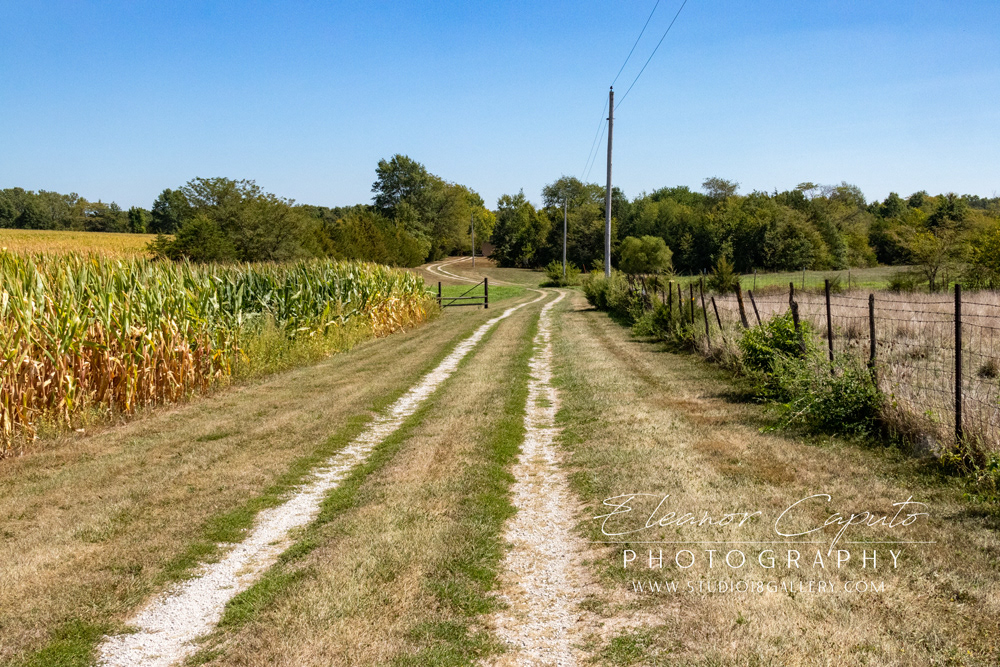(20) Driveway from gate 1
