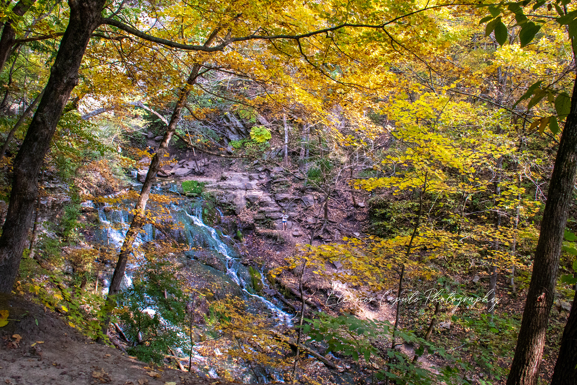 Dunnings spring, Decorah Iowa