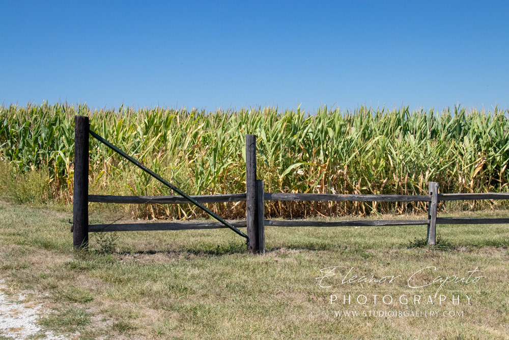 (10) Fence at entrance of property 1