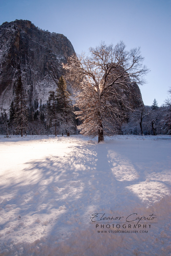 Yosemite winter 10