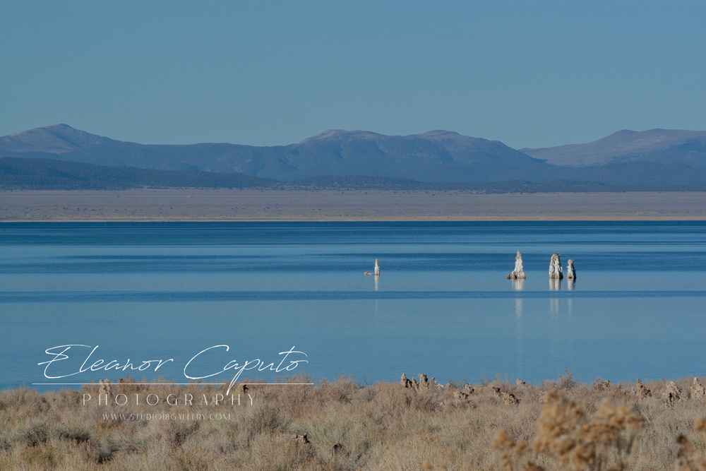 Mono Lake 50