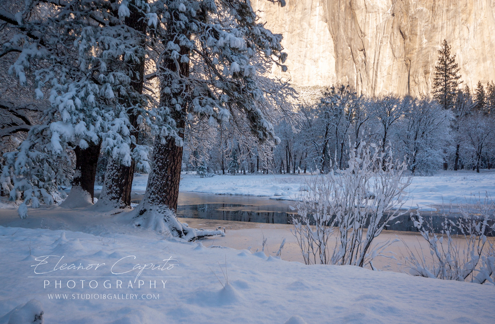 Yosemite winter 4