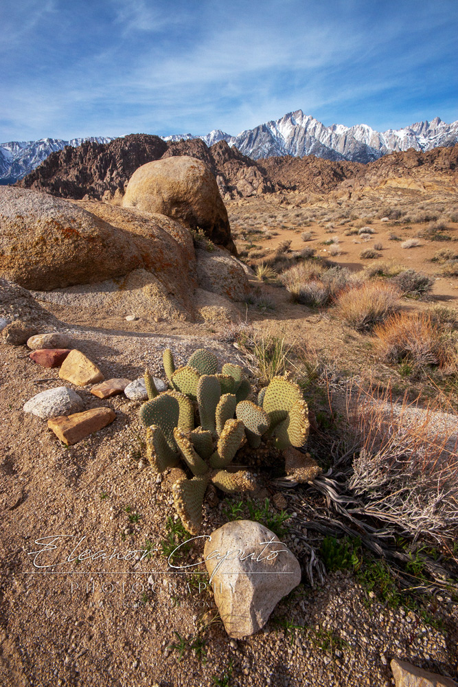 Alabama Hills 55