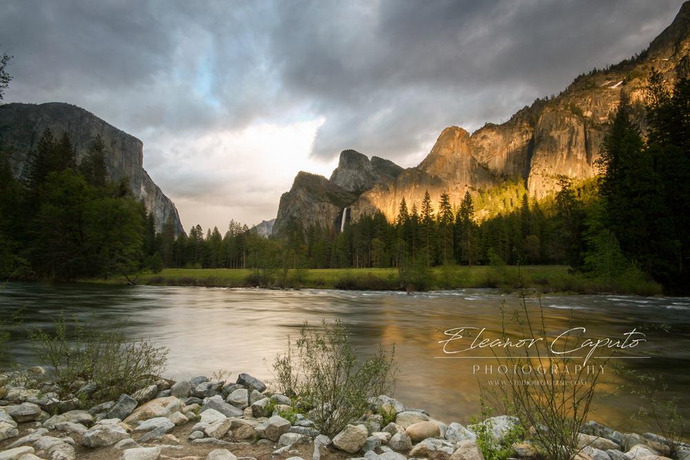 Yosemite Valley Spring 2