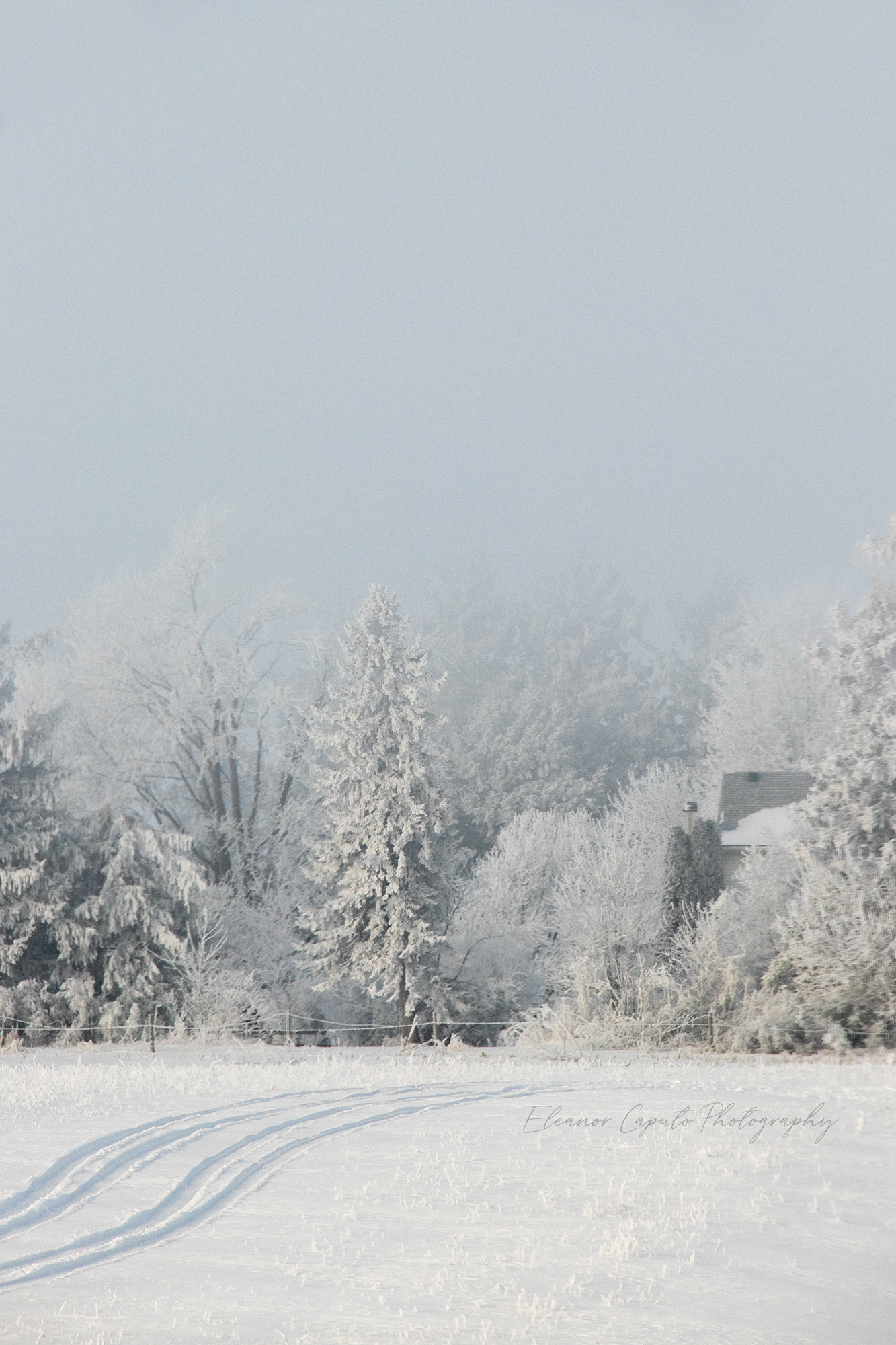 Marshall County, Iowa