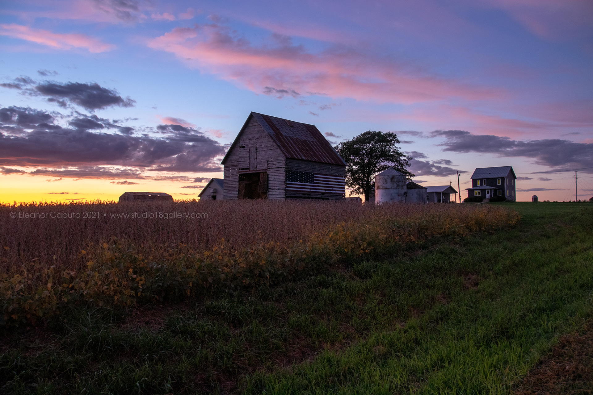 Tiffanie's Barn Tama 