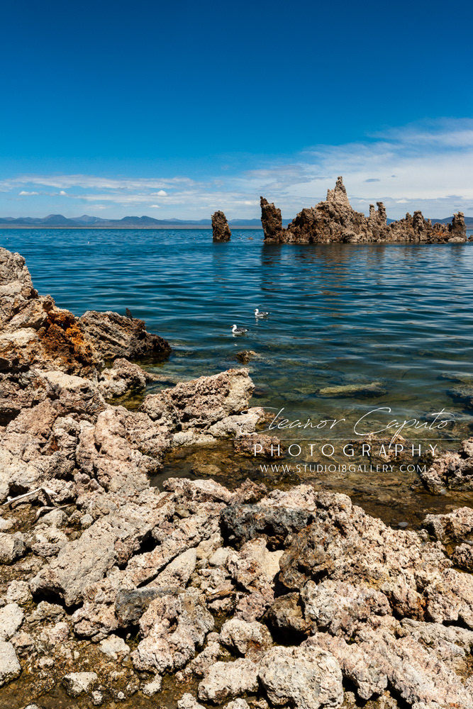 Mono Lake 2012 113