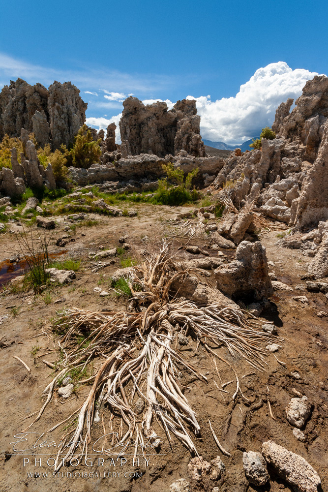 Mono Lake 2012 115