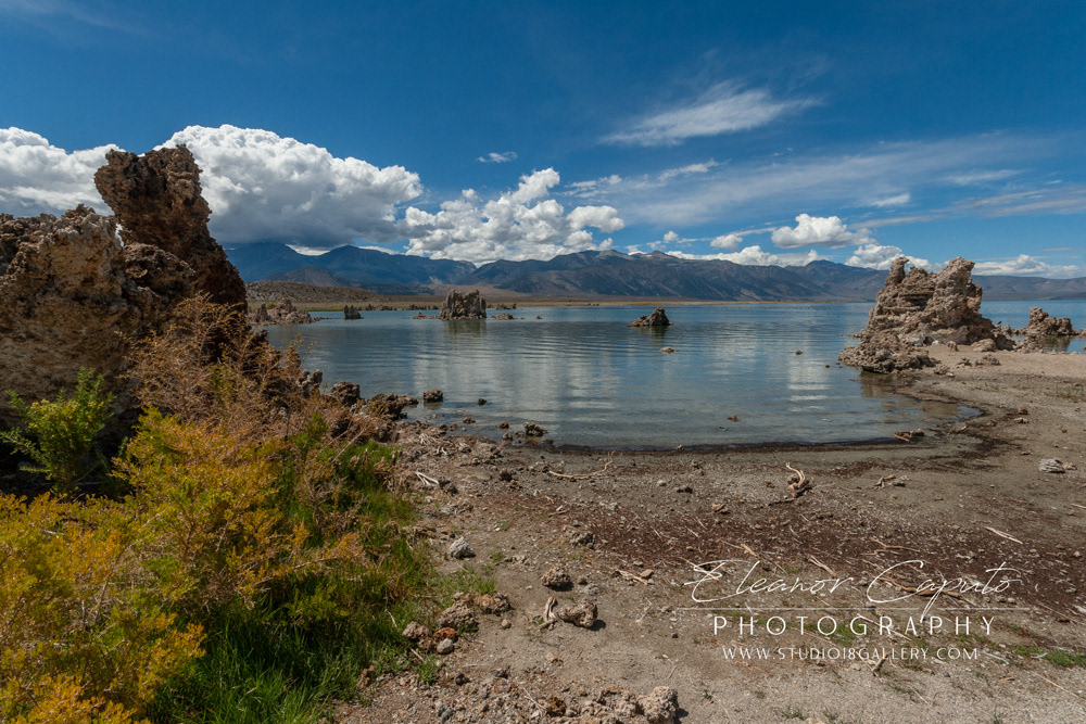 Mono Lake 2012 122
