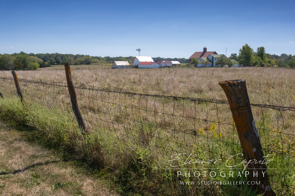 (24) frank's property 3