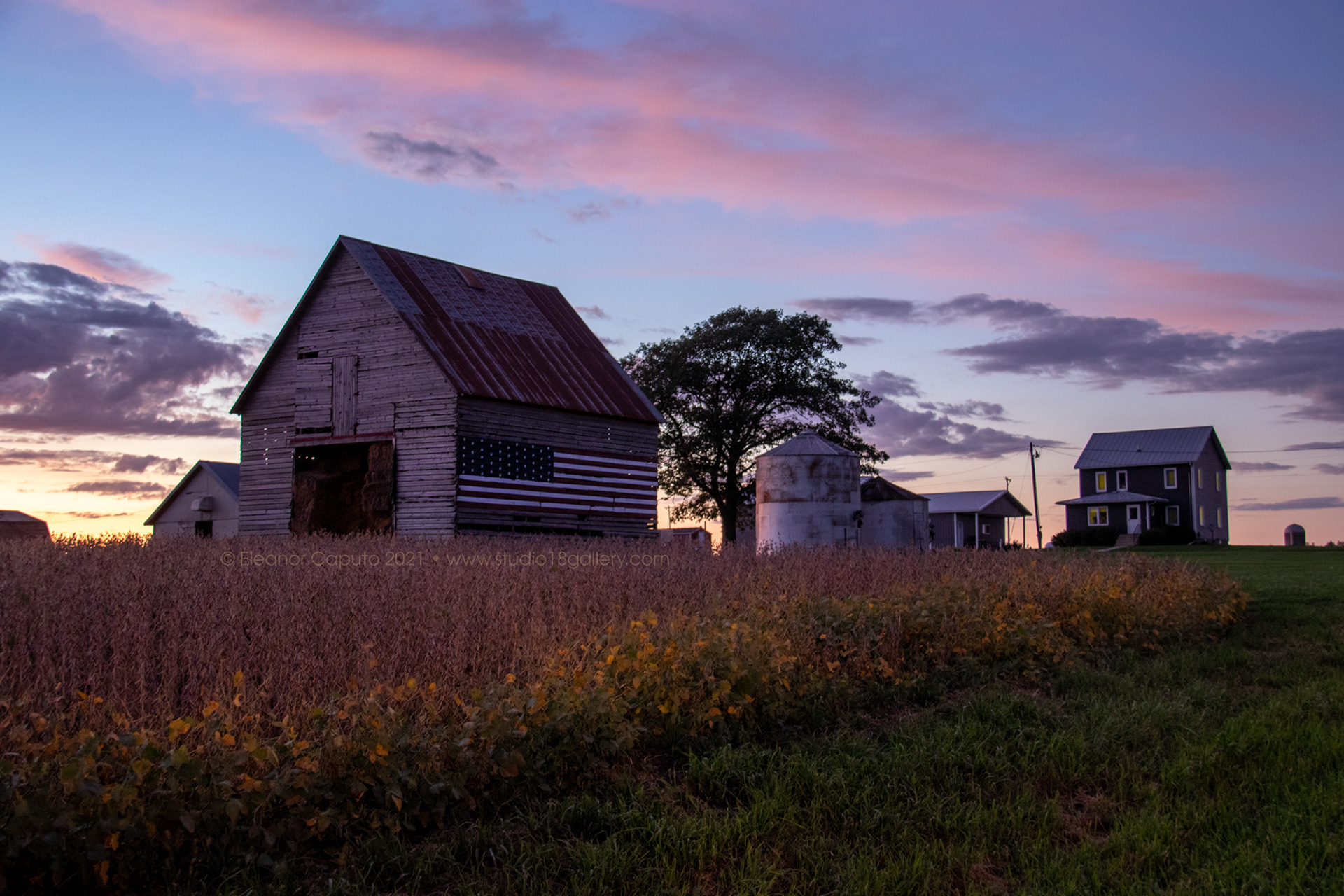 Tiffanie's Barn Tama 